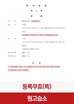 특허무효, 심결취소, 특허분쟁, 특허